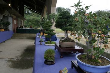 Il Gesto e la Maschera