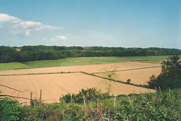 "Campagna" di Alberto Dellavecchia  - Anno 2000