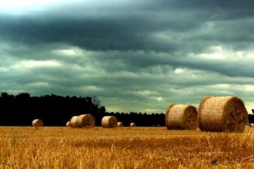 "Campagna - Paesaggio Autunnale" di Simone Loda