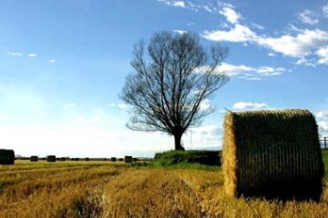 "Campagna - Paesaggio Autunnale" di Simone Loda